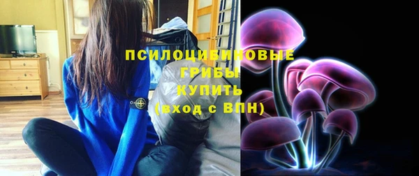 сатива Дмитров