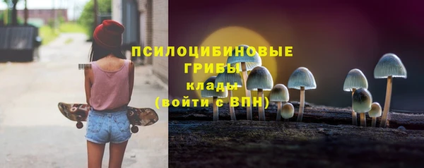 2c-b Дмитриев