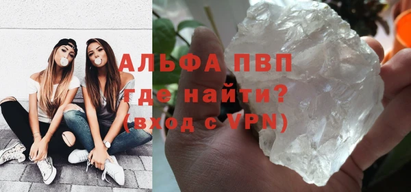 сатива Дмитров