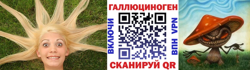 Псилоцибиновые грибы Psilocybine cubensis  купить наркотики цена  Муравленко 